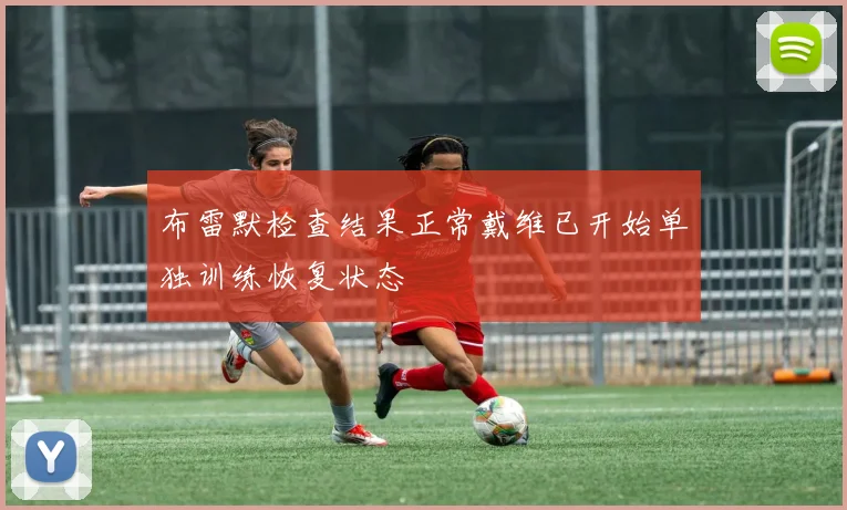 布雷默检查结果正常戴维已开始单独训练恢复状态