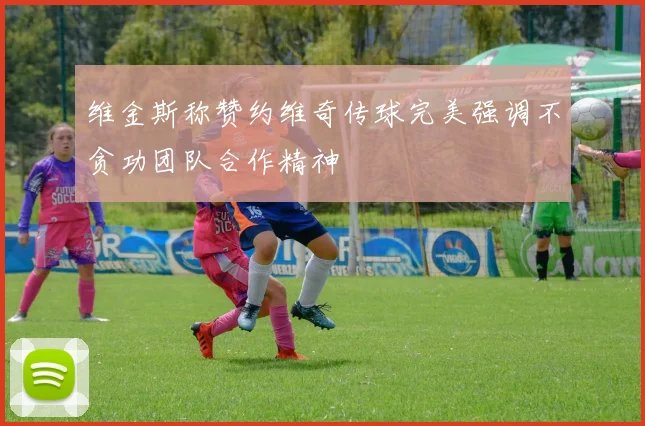 维金斯称赞约维奇传球完美强调不贪功团队合作精神