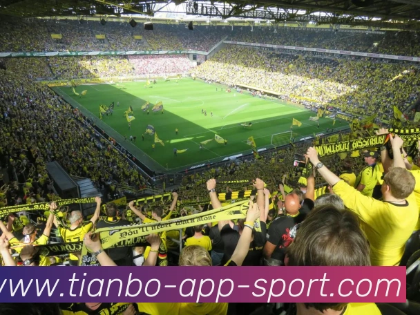 App Interface Preview