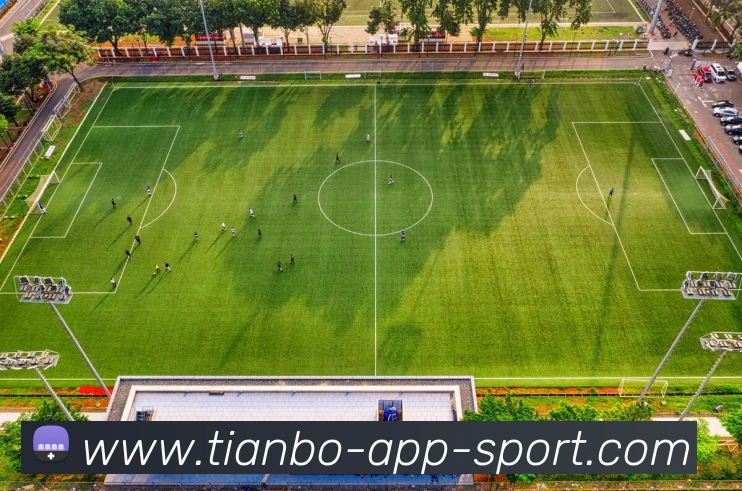 天博体育APP 封面图