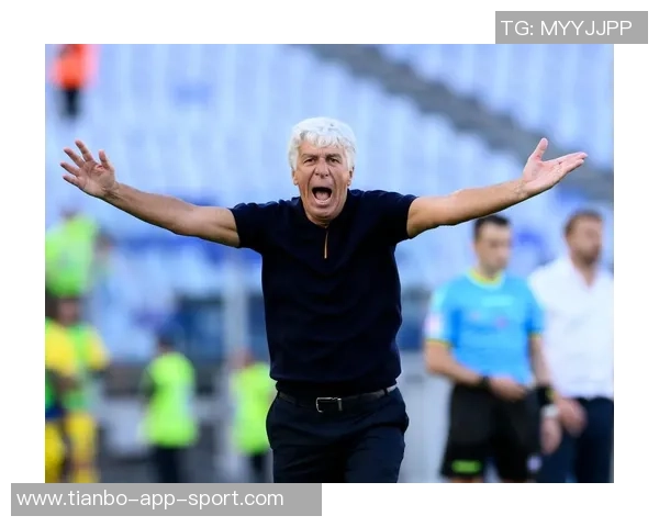 意甲分析：维罗纳面临困境难以反弹前景堪忧